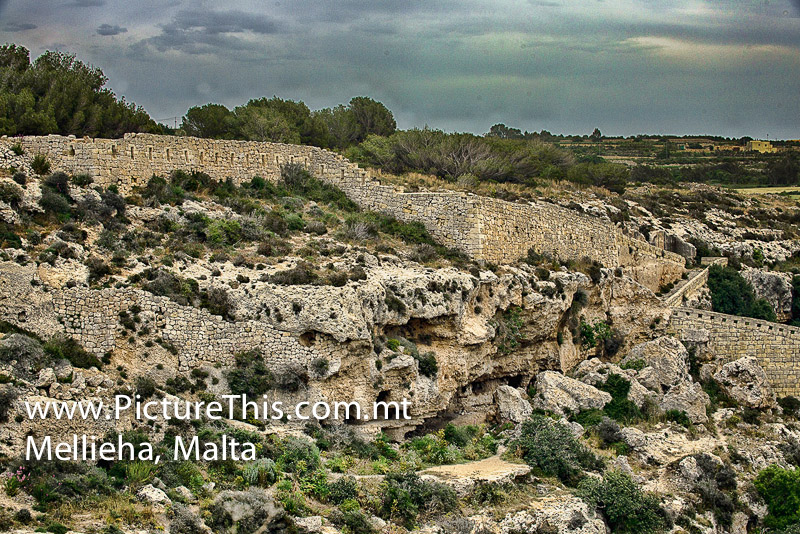 mgarr 2